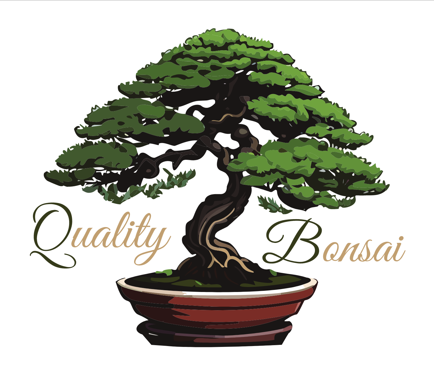 Quality Bonsai
